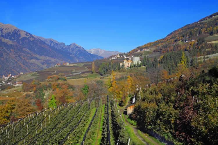 Schwarzplatterhof Lägenhet Merano Exteriör bild